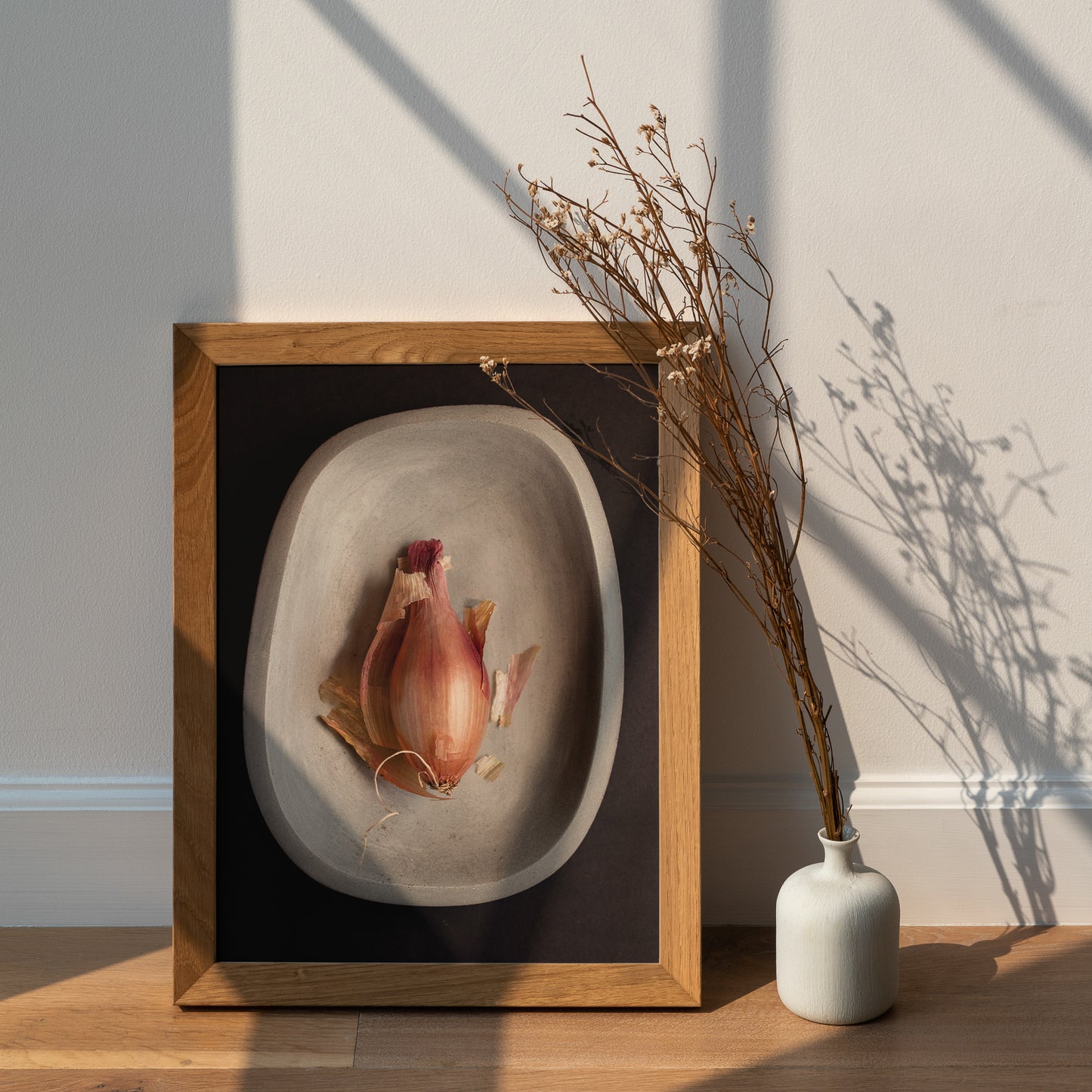 Fine Art Print | Shallot